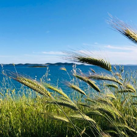Ecobeachvilla Buqez 9 Pakoštane Εξωτερικό φωτογραφία