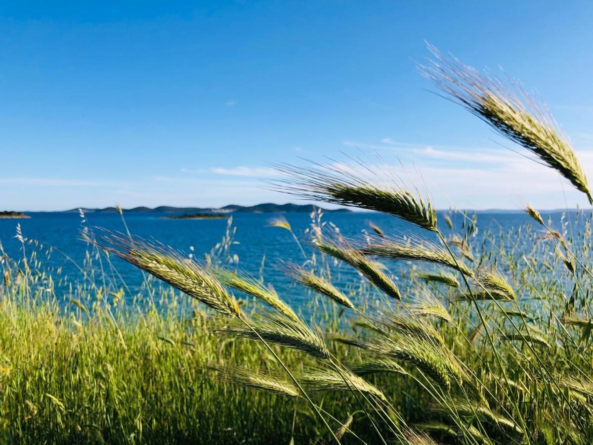 Ecobeachvilla Buqez 9 Pakoštane Εξωτερικό φωτογραφία