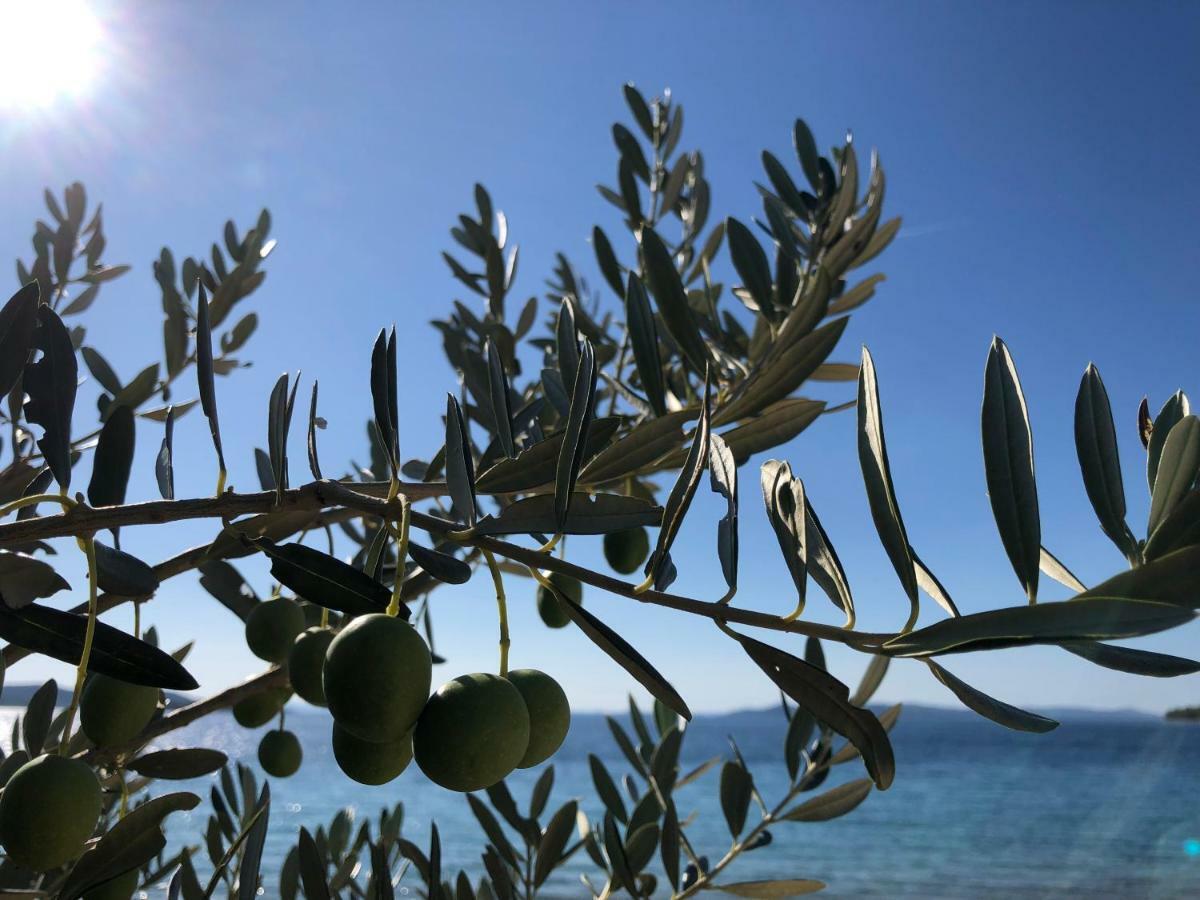 Ecobeachvilla Buqez 9 Pakoštane Εξωτερικό φωτογραφία